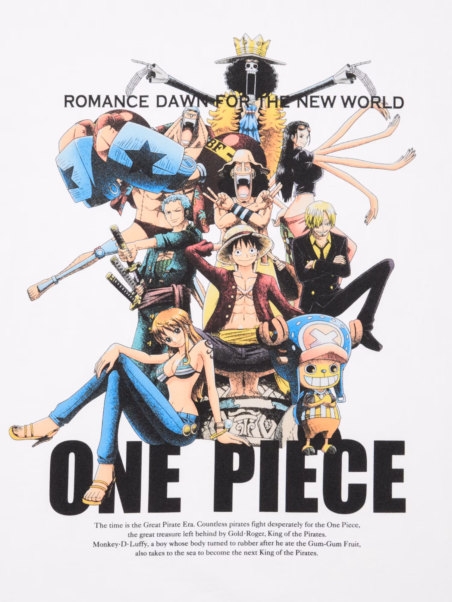 ONE PIECE